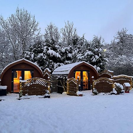 Conifer Cabins Fort William Buitenkant foto